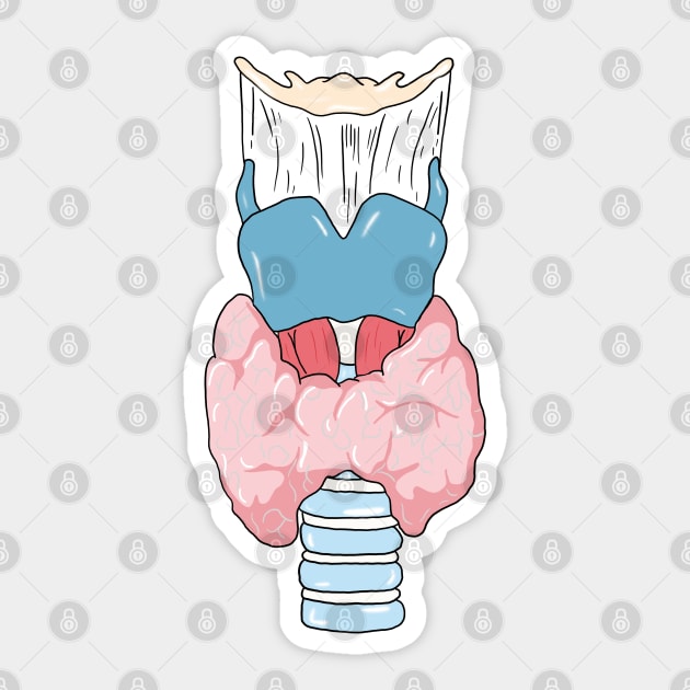 Thyroid medicine anatomy Sticker by Carries Design 